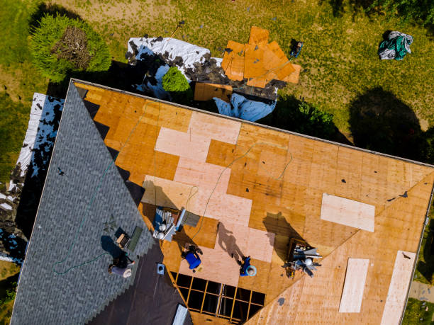 Best Gutter Installation and Roofing  in Hazlehurst, GA