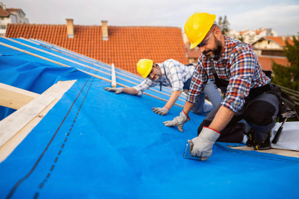 Best Gutter Installation and Roofing  in Hazlehurst, GA