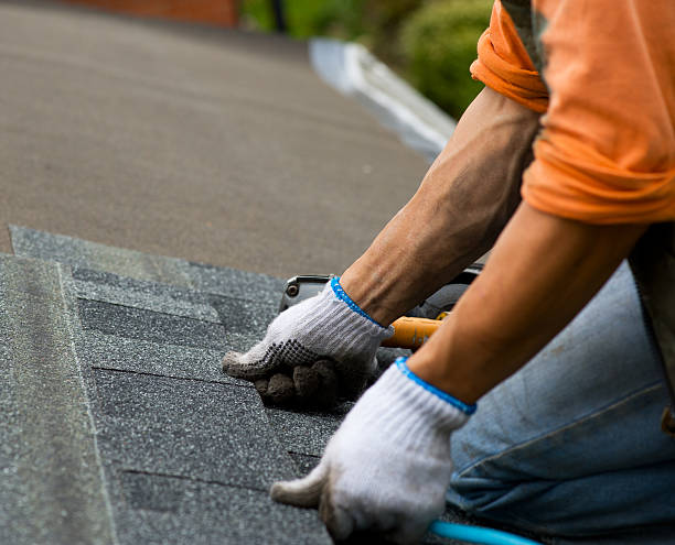 Best Sealant for Roof  in Hazlehurst, GA